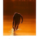 Illustration for article titled 9 of the Best Worst Horror Movies Ever Made